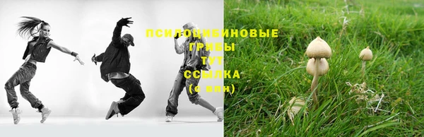 сатива Беломорск