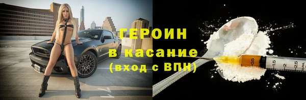 сатива Беломорск
