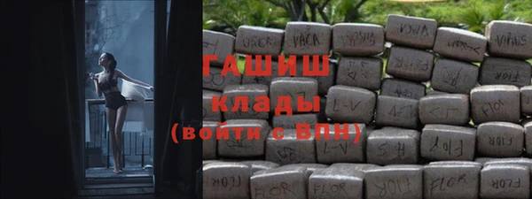 сатива Беломорск