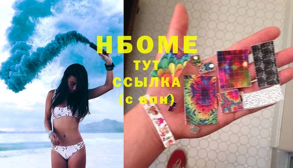 сатива Беломорск