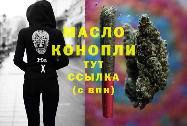 сатива Беломорск