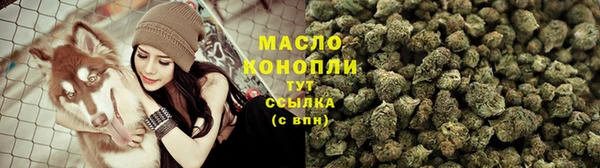 сатива Беломорск