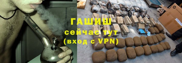 сатива Беломорск