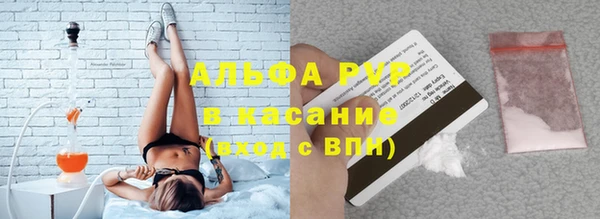 сатива Беломорск