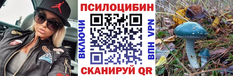 цены наркотик Горно-Алтайск Псилоцибиновые грибы MAGIC MUSHROOMS