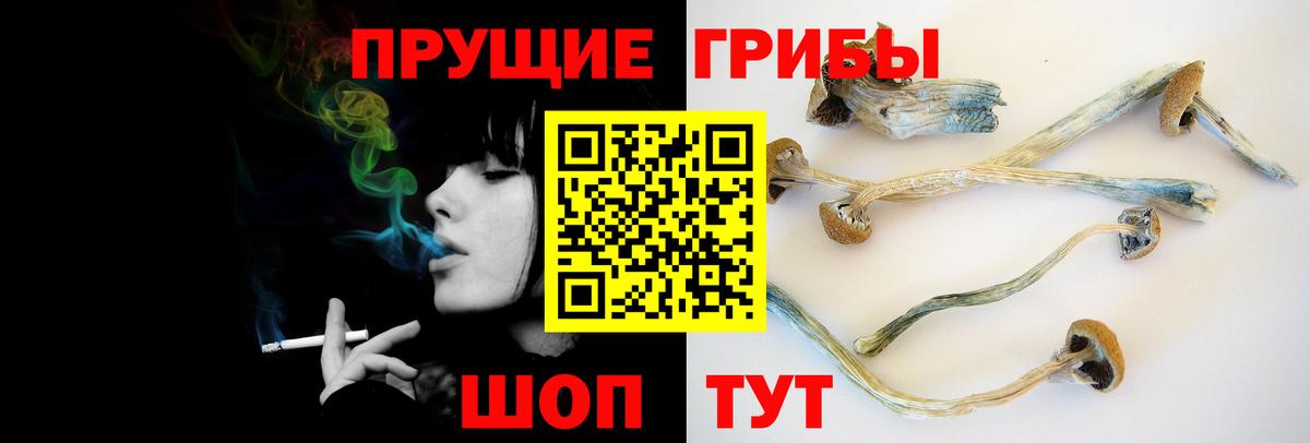 Галлюциногенные грибы Magic Shrooms  Вход с VPN  Галлюциногенные грибы Psilocybe  Горно-Алтайск 